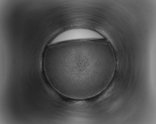 X0000089700446200707121357