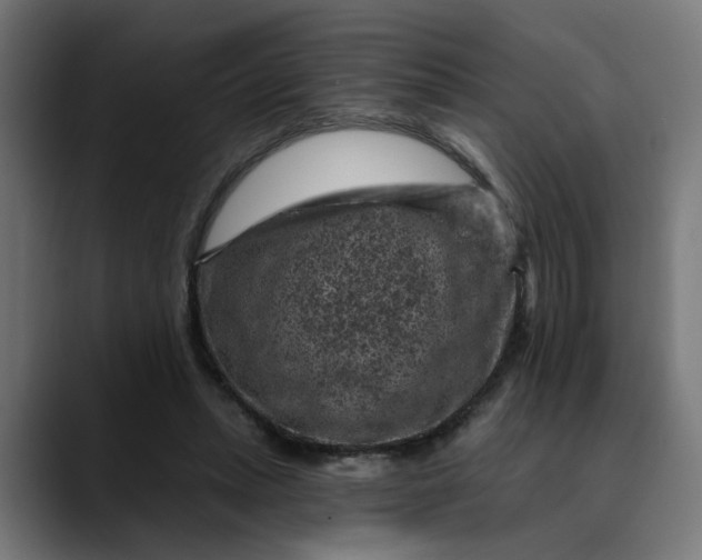 X0000089700447200707121357