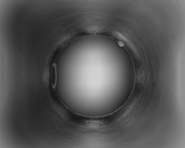 X0000089700448200707121357