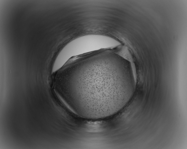 X0000089700450200707121357