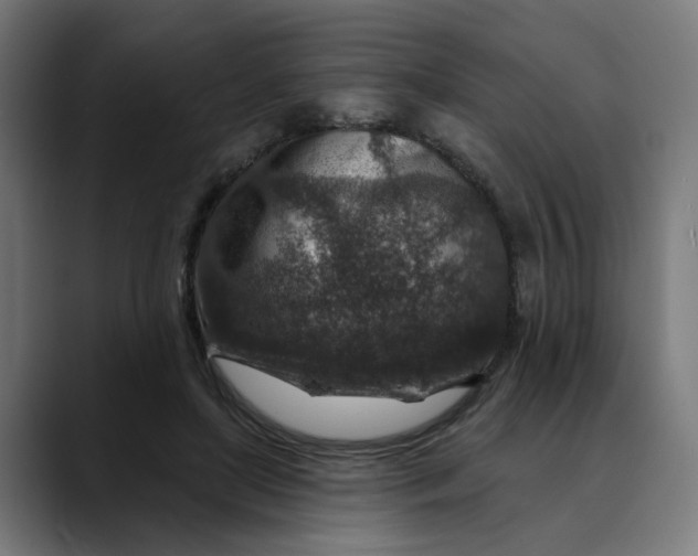 X0000089700451200707121357