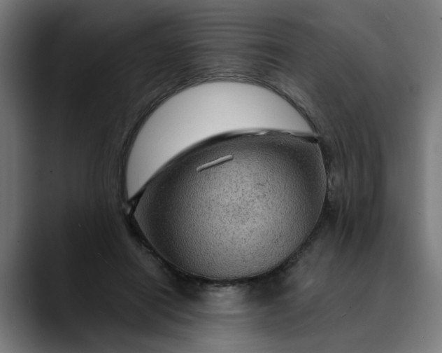 X0000089700454200707121357