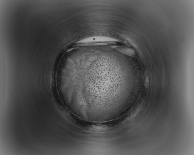 X0000089700455200707121357