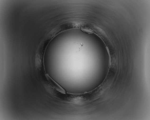 X0000089700456200707121357