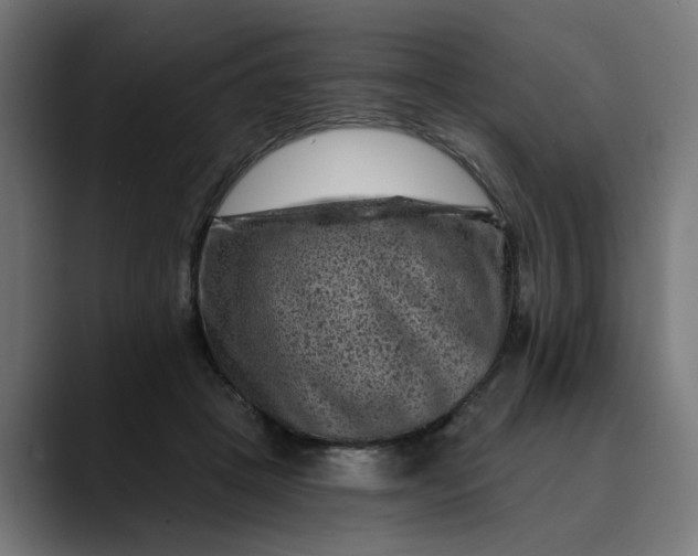 X0000089700457200707121357