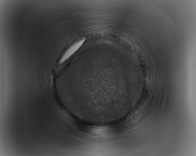 X0000089700458200707121357