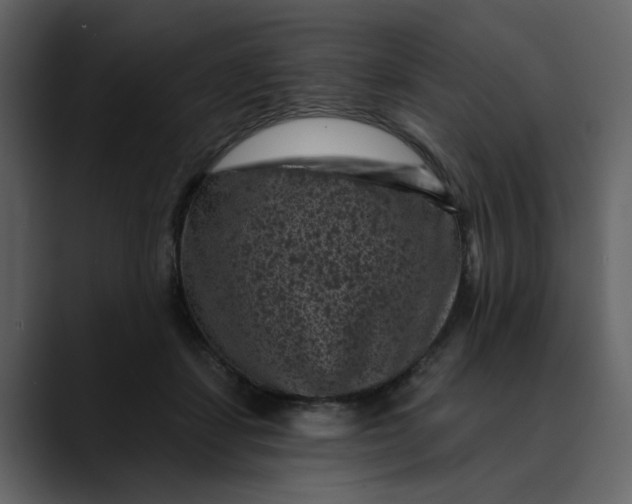 X0000089700459200707121357