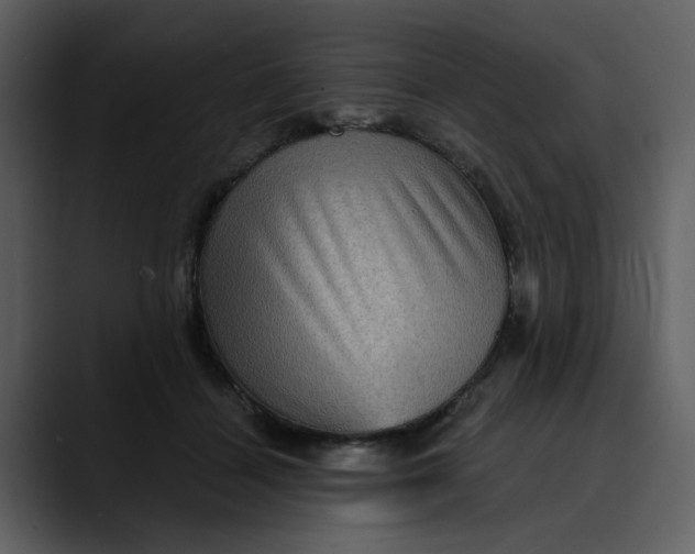 X0000089700460200707121357