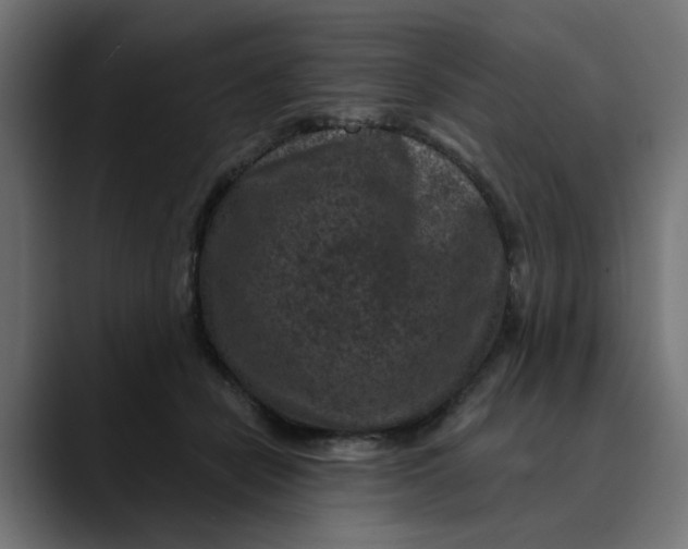 X0000089700462200707121357