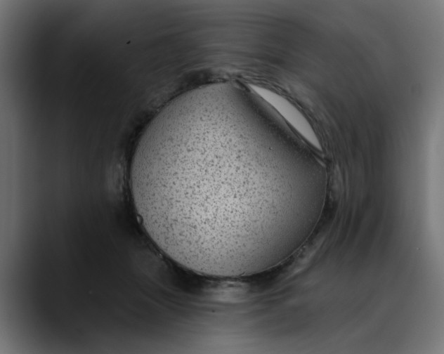 X0000089700463200707121357