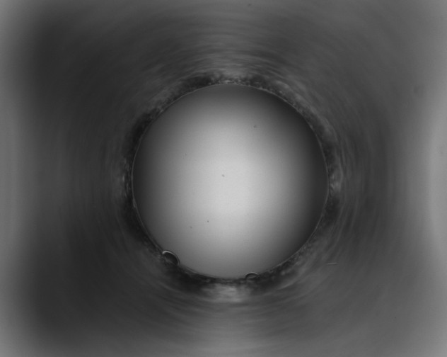 X0000089700464200707121357