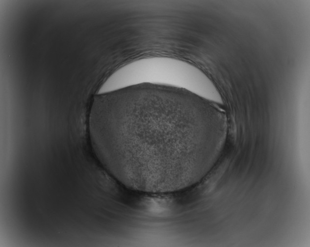 X0000089700466200707121357