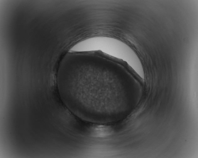 X0000089700467200707121357