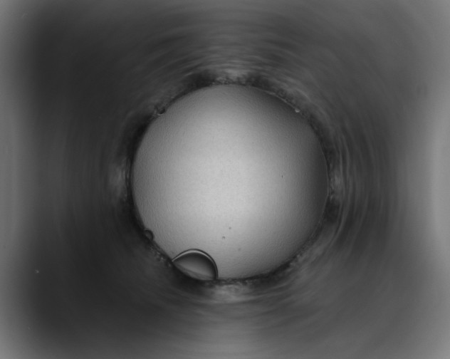 X0000089700468200707121357