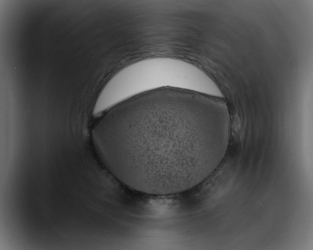 X0000089700470200707121357