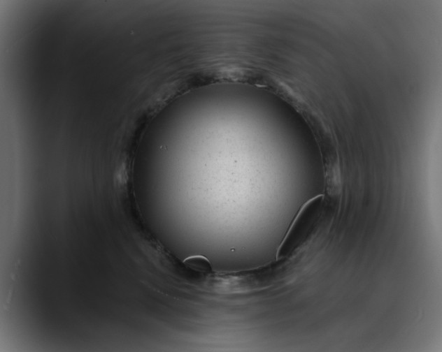 X0000089700472200707121357