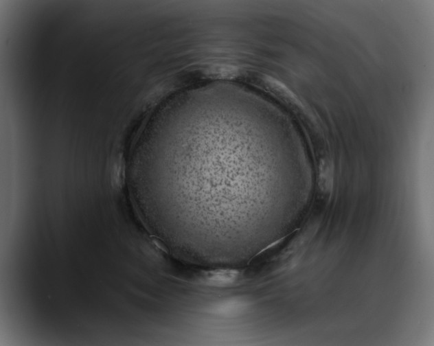 X0000089700474200707121357