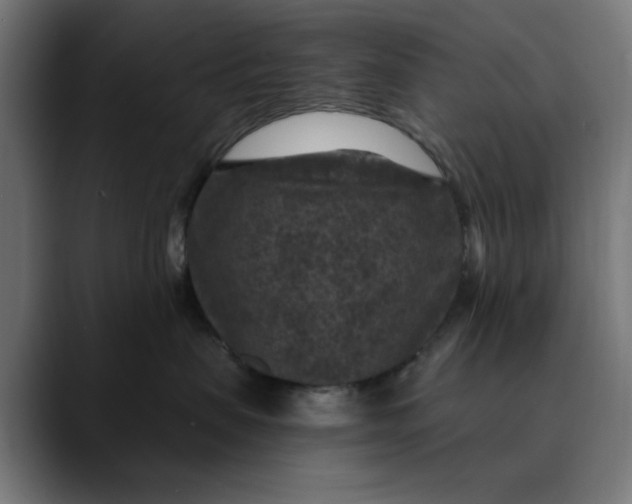 X0000089700479200707121357