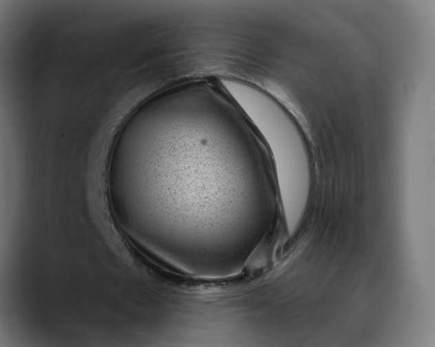 X0000089700481200707121357