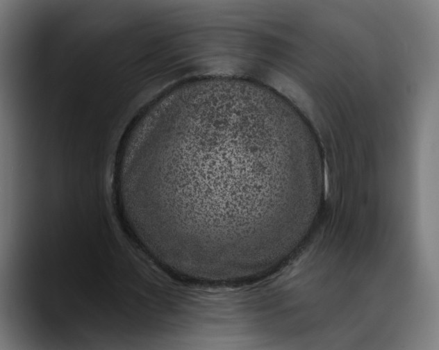 X0000089700483200707121357