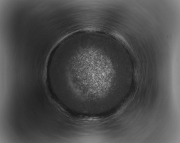 X0000089700484200707121357