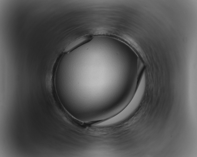 X0000089700485200707121357