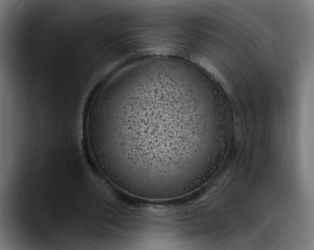 X0000089700486200707121357