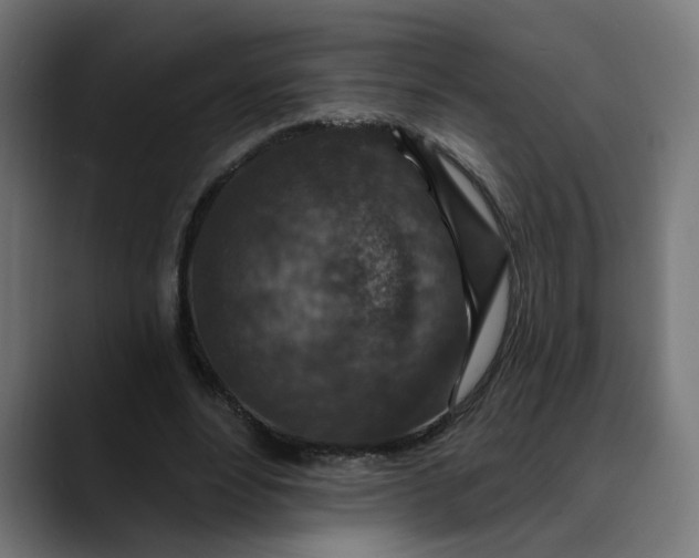 X0000089700488200707121357