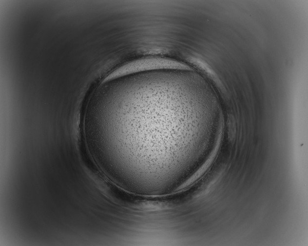 X0000089700490200707121357