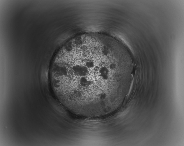 X0000089700491200707121357