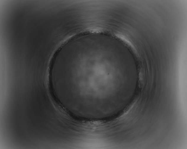 X0000089700492200707121357