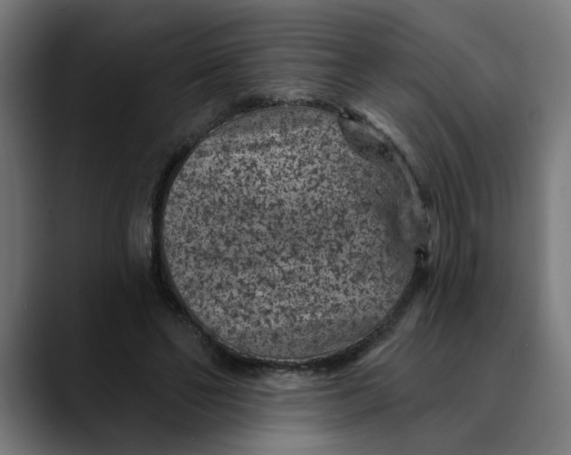 X0000089700494200707121357