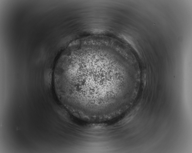 X0000089700495200707121357