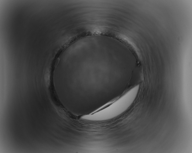 X0000089700496200707121357