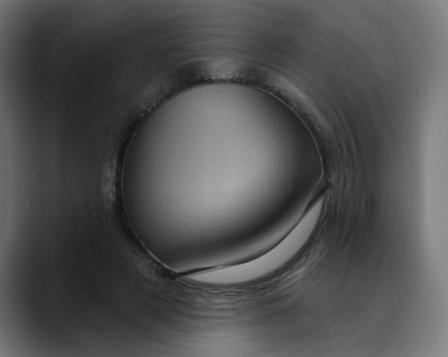 X0000089700497200707121357