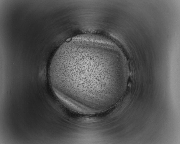 X0000089700498200707121357