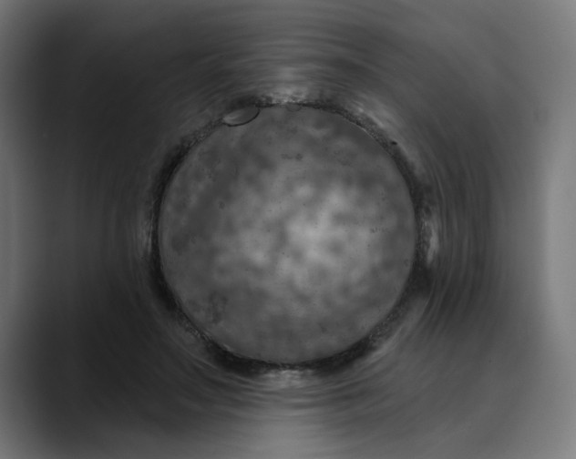 X0000089700499200707121357