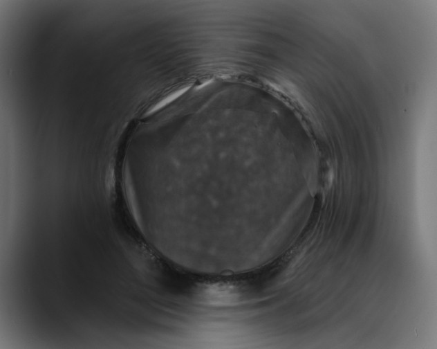 X0000089700500200707121357