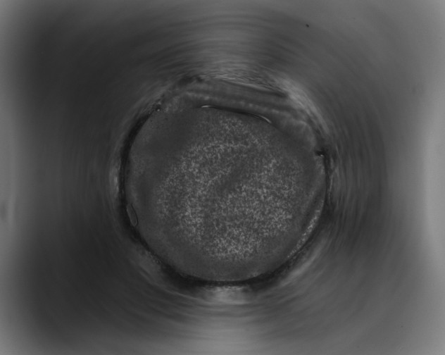 X0000089700501200707121357