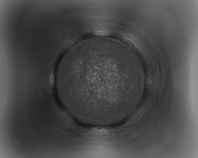 X0000089700502200707121357