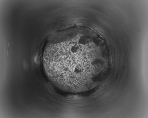 X0000089700503200707121357