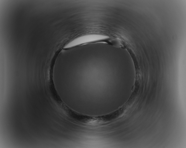 X0000089700504200707121356