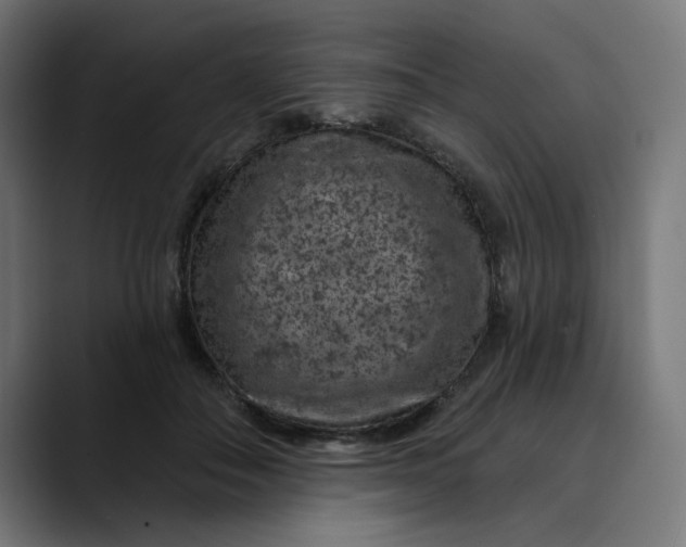 X0000089700506200707121356