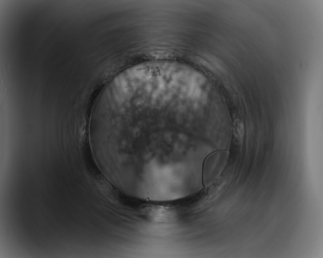 X0000089700507200707121356