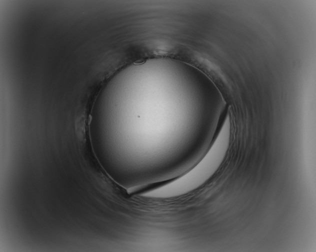 X0000089700509200707121356