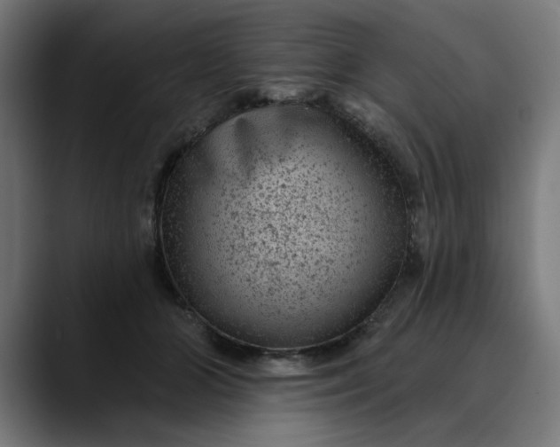 X0000089700510200707121356