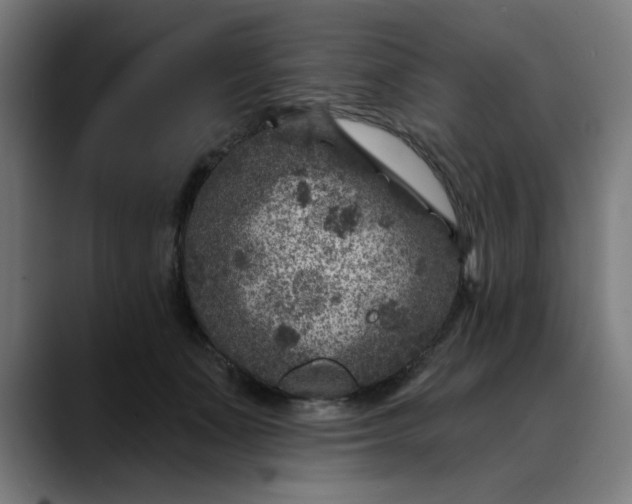 X0000089700511200707121356