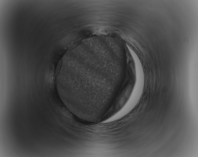 X0000089700513200707121356