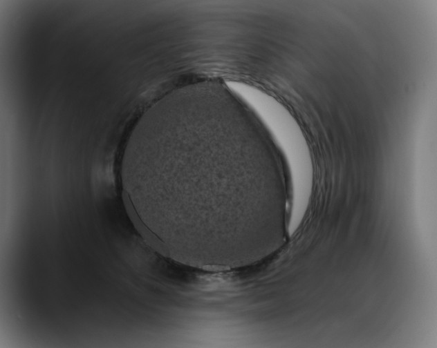 X0000089700516200707121356