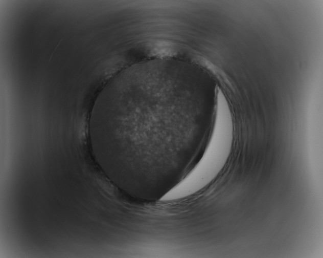 X0000089700517200707121356